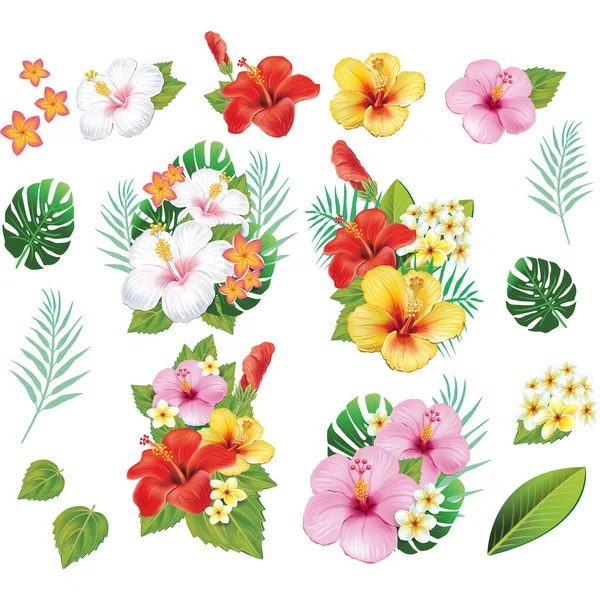 Set Floral Elements Arrangement Tropical Flowers Leafs — Stock Vector