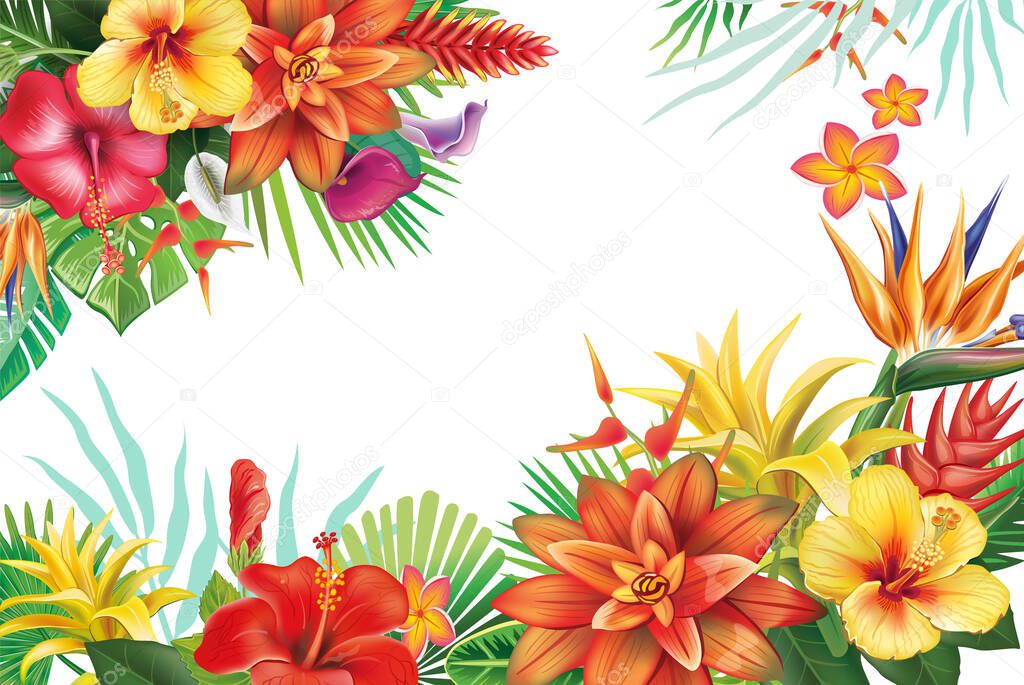 Frame with tropical plants and flowers Vector arrangements for greeting card or invitation design