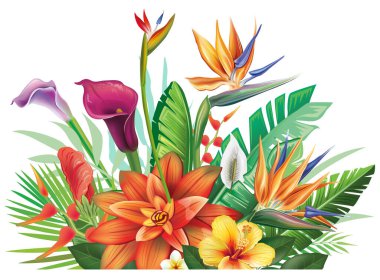 Tropikal çiçek ve yapraklardan elde edilen çiçek vektör çizimi