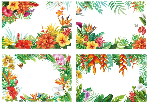 Set Rámy Tropickými Rostlinami Květinami Květinové Vektorové Ilustrace — Stockový vektor