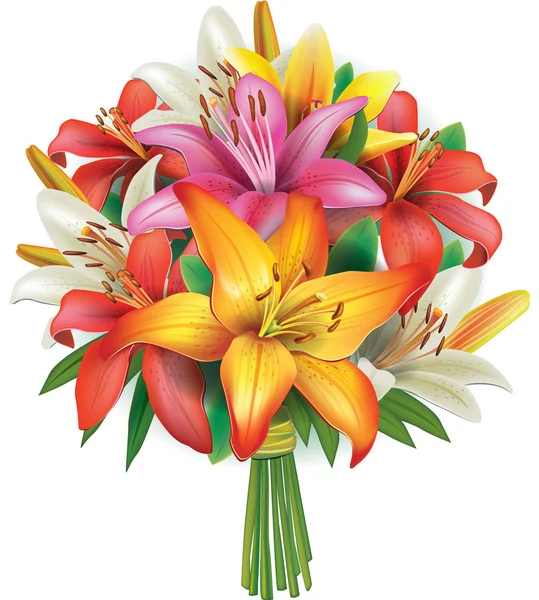Bouquet of lilies — Stock Vector