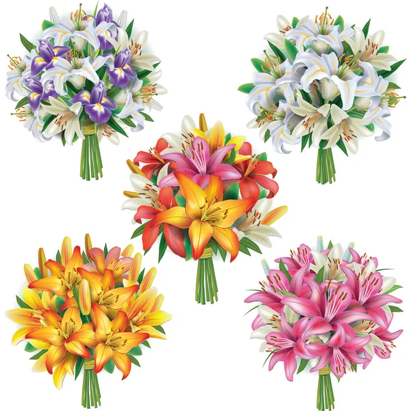 Set of lilies bouquets — Stock Vector