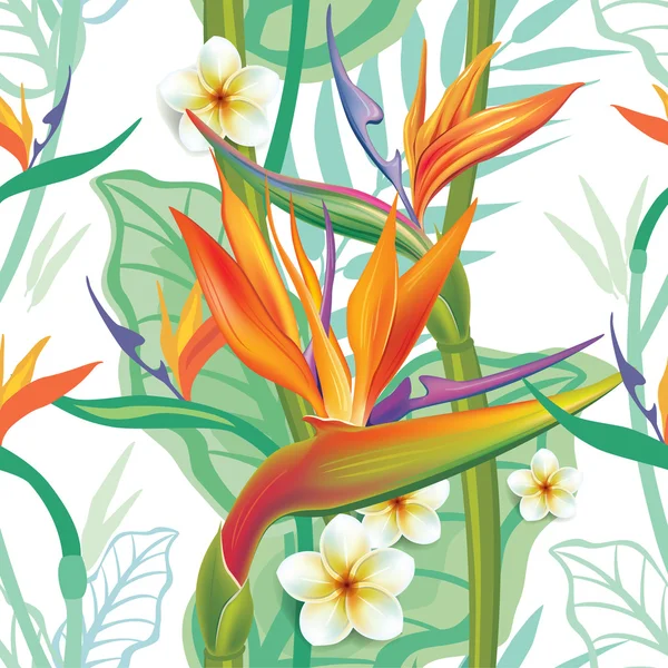 Patrón sin costuras con Strelitzia — Vector de stock