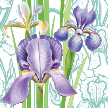 süsen ile sorunsuz çiçek desenli