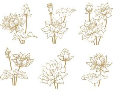 Lotus Çiçeği Sembol Vektörü Hassas Satır Sanatı Biçiminde Ayarlandı