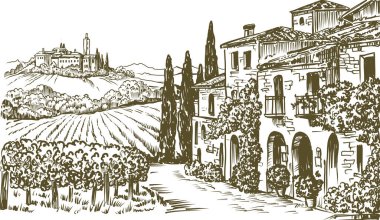 Köy Caddesi, Eski Taş Evleri, Üzüm bağları, Sketch Style