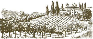 Rolling Hills 'teki Vineyard Fields ve Villas' la Kırsal Peyzaj Vintage Ink Illustration, Sketch Style,