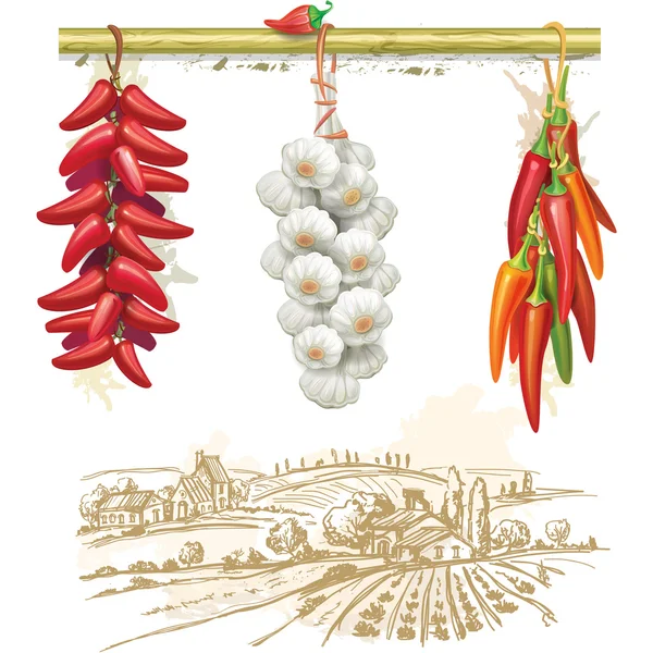 Strings of red peppers against country landscape — Stock Illustration Strings of red peppers against country landscape Royalty Free Stock Vectors