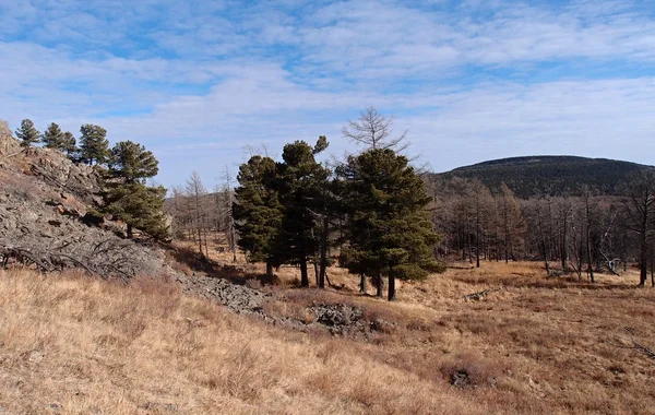 Autumn near Ulanbatar town,Mongolia — Stock Photo, Image