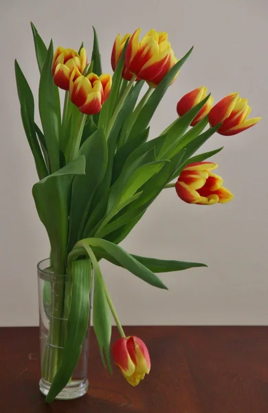 Bouquet of yellow and orange tulips — Stock Photo, Image