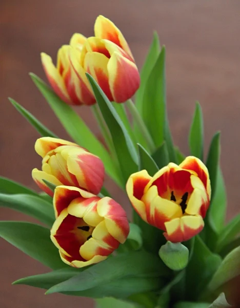 Bouquet of yellow and orange tulips — Stock Photo, Image