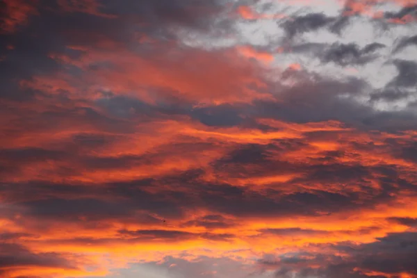 Bellissimi colori tramonto cielo . — Foto Stock