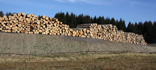 Stock de troncos y madera —  Fotos de Stock