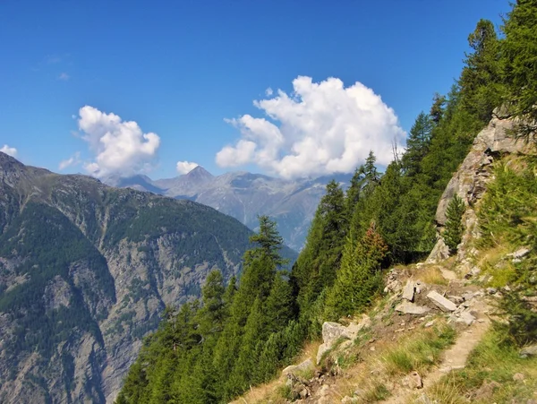 Aletschgletscher in den schweizer alpen — Stockfoto