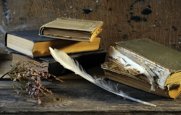 Nature morte des vieux livres — Photo