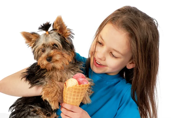 子犬とアイスクリームを食べている女の子 — ストック写真