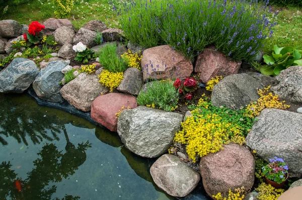 Gartenteich im Garten — Stockfoto