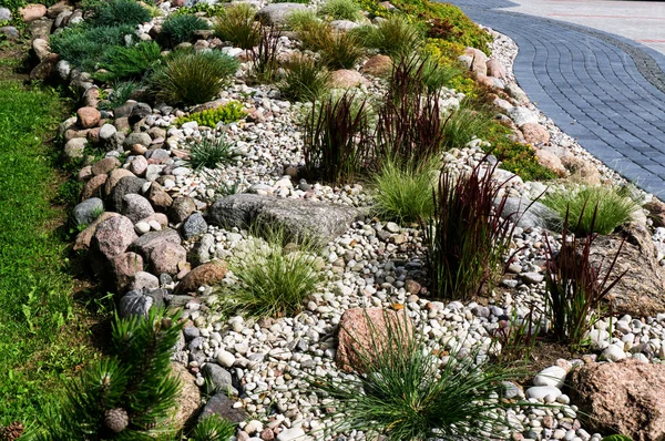 Aménagement paysager naturel dans le jardin domestique — Photo