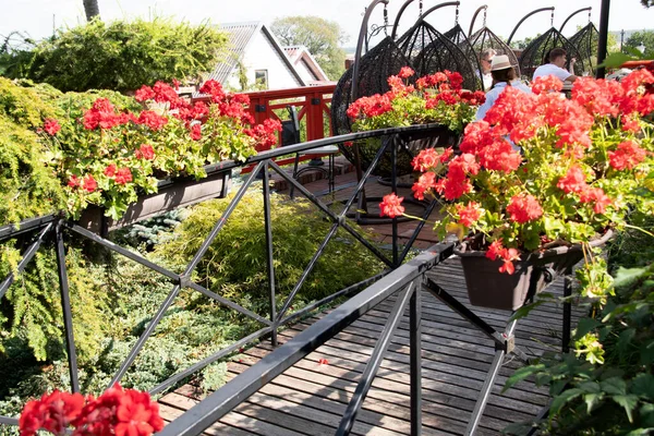 Cozy Outdoor Cafe Terrace Flowers Tables Lithuanian Countryside Flower Beds — Stock Photo, Image