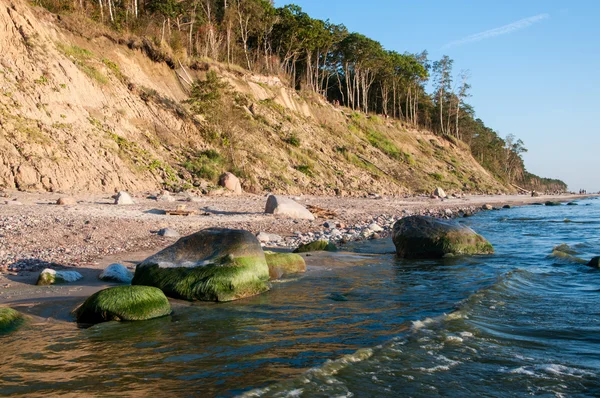 Baltské pobřeží — Stock fotografie