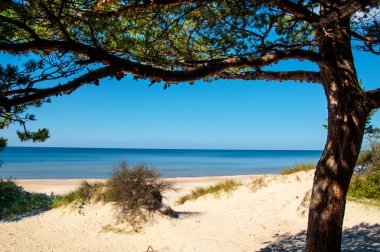 Baltık Denizi'nin Sunny beach