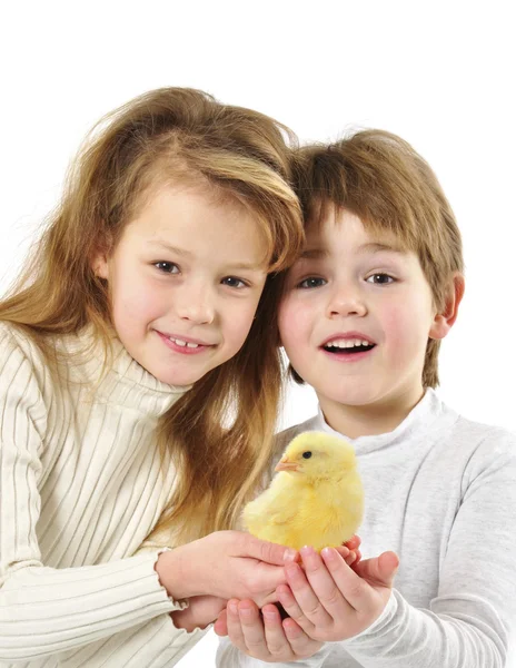 Kinder mit kleinen Hühnern — Stockfoto