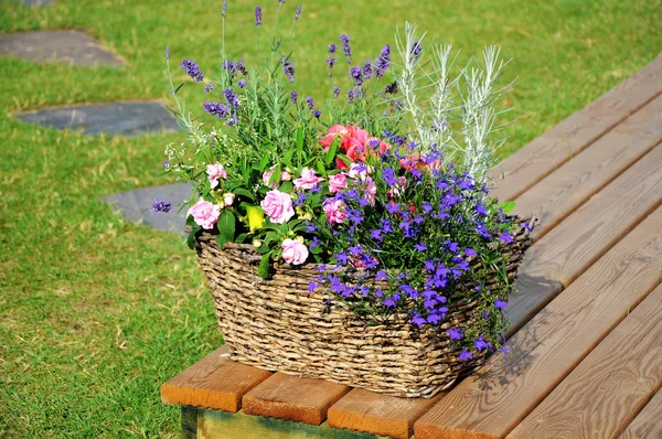 Envios de flores en cesta —  Fotos de Stock