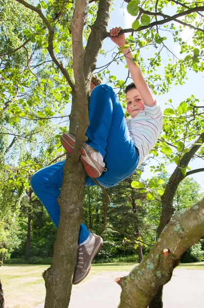 Weinig schattige jongen klimmen op boom — Stockfoto