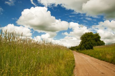 yol alanında, bulutlu gökyüzü