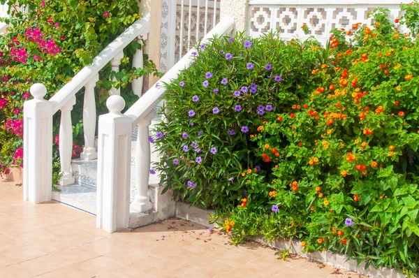 Entrada em casa — Fotografia de Stock