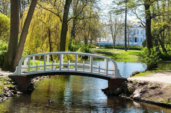 Lagoa no parque — Fotografia de Stock