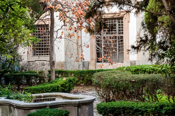 Altes Haus mit verlassenem Garten — Stockfoto