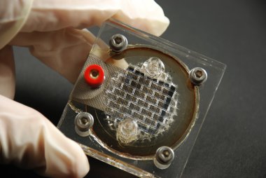 Elektronik komponentler ve cihazlar