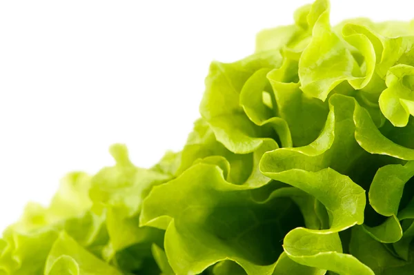 Green fresh salad — Stock Photo, Image