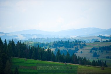 Dağlarda yaz. Karpat