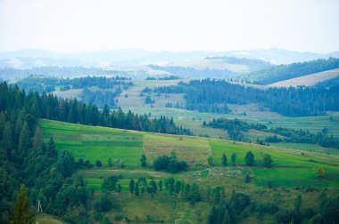 Dağlarda yaz. Karpat