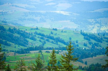 Dağlarda yaz. Karpat