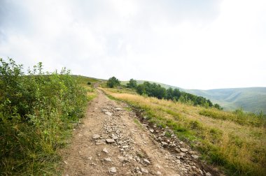 Dağlarda yaz. Karpat