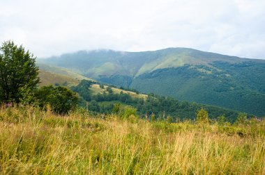 Dağlarda yaz. Karpat