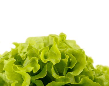 Yeşil taze salata