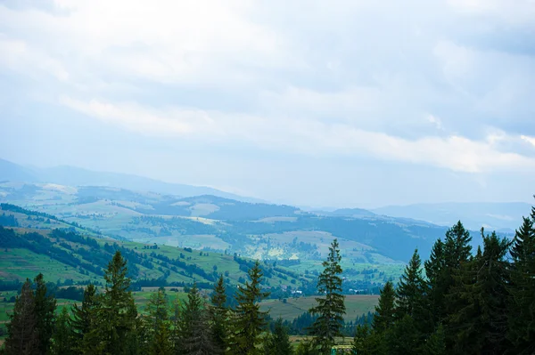 Summer in the mountains. Carpathian — Stock Photo, Image