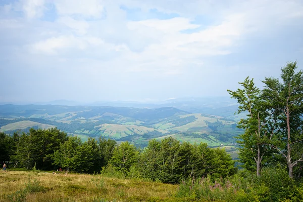 Zomer in de bergen. Karpaten — Stockfoto