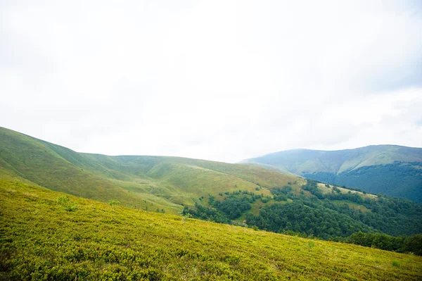 L'été dans les montagnes. Carpates — Photo