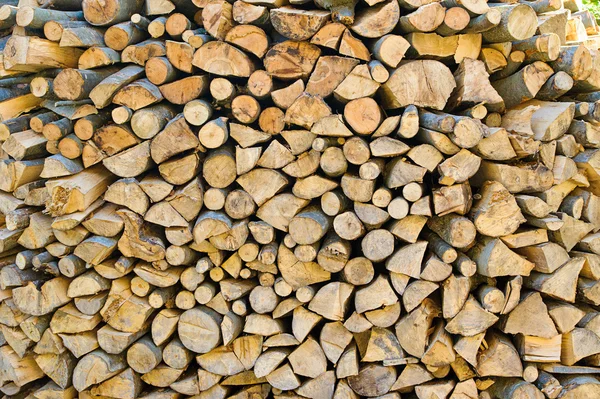 Bando de árvores derrubadas — Fotografia de Stock