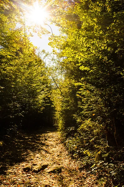 Herbstlandschaft in den Bergen — Stockfoto