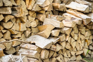 kesilen ağaç demet