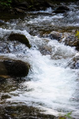 Güzel dağ nehri manzarası