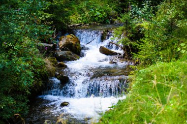 Sakin parlak şelale