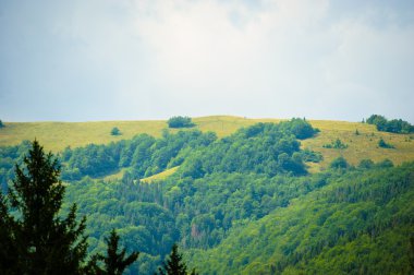 dağlarda yaz. Karpat, Ukrayna, Europe.