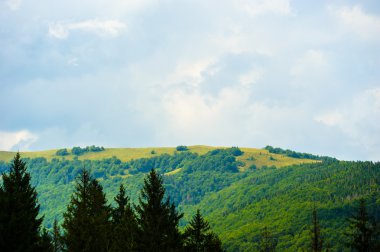 dağlarda yaz. Karpat, Ukrayna, Europe.